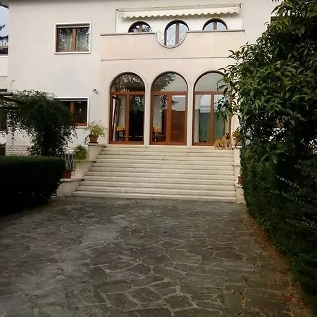 Osmanthus 4*